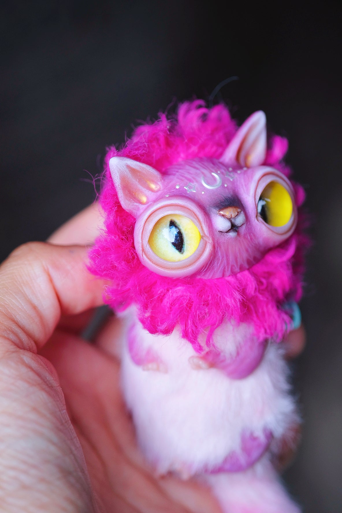 Magenta Crescent Cat