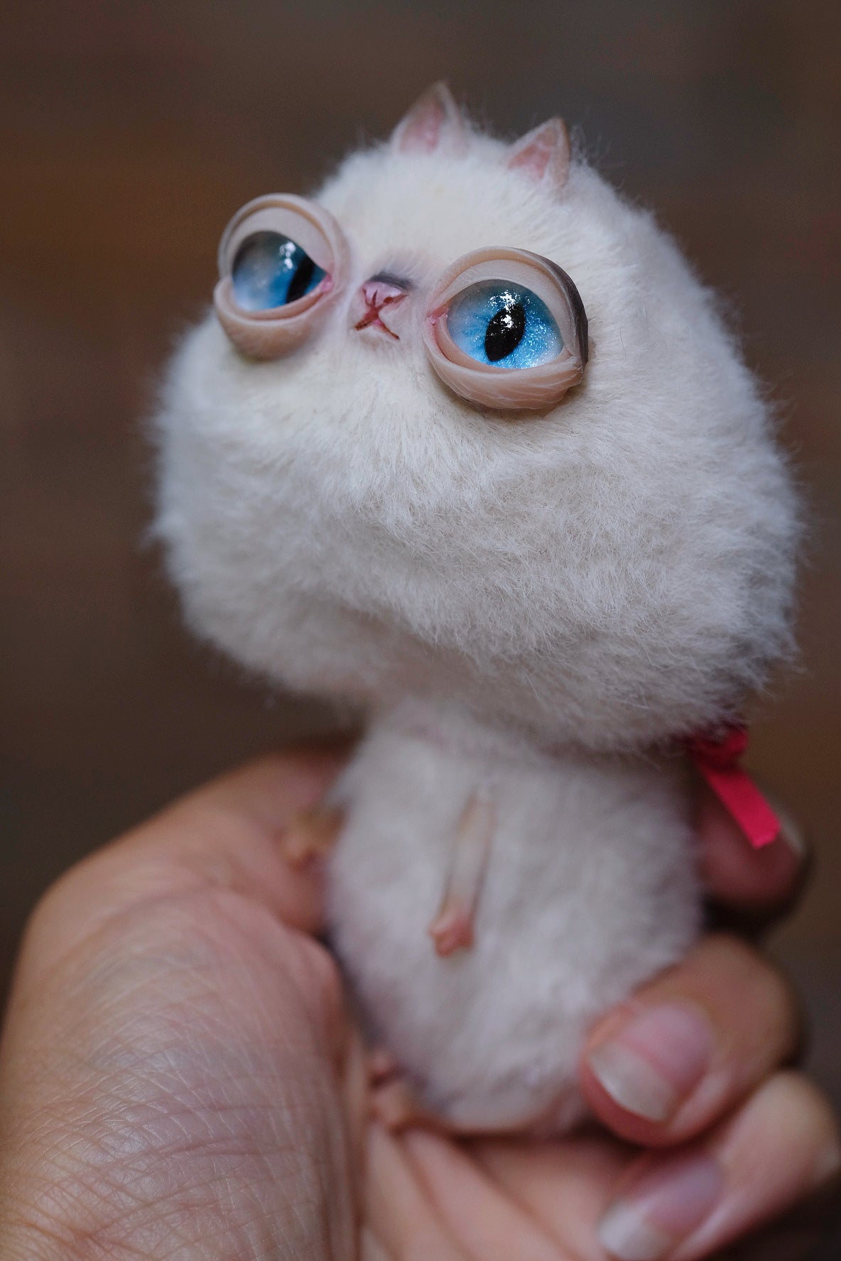 Anti-Pretty Cat