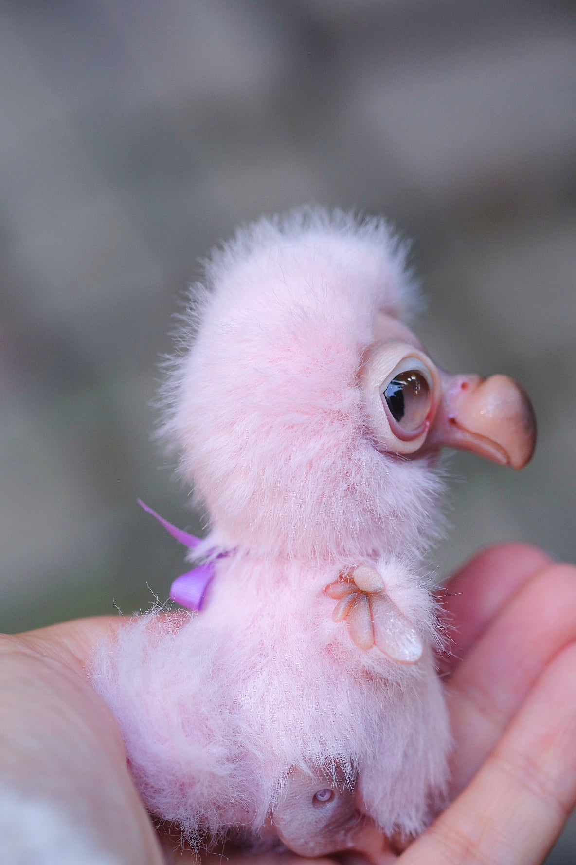 Pink Dodo Bird