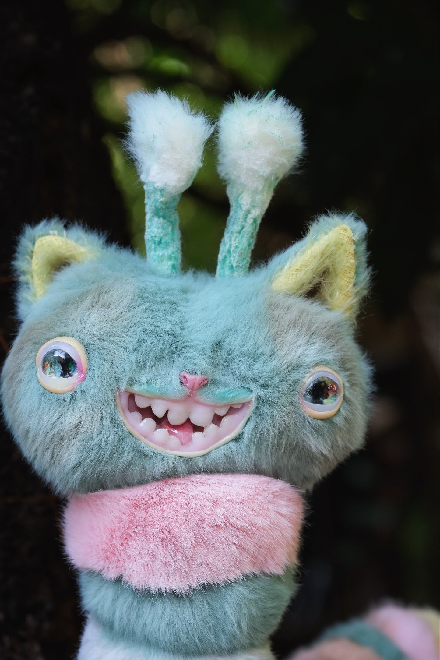 Kitty Caterpillar