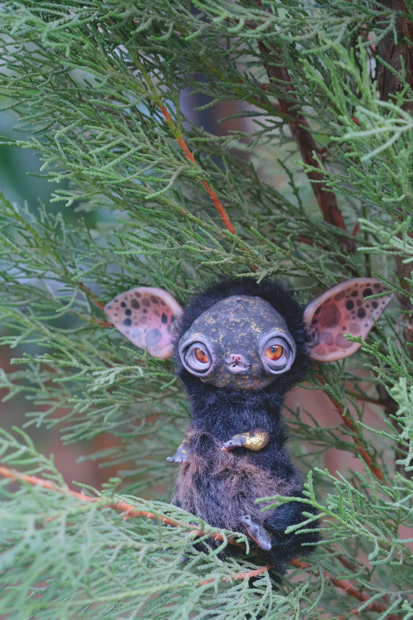 Charcoal Goblin Kitty