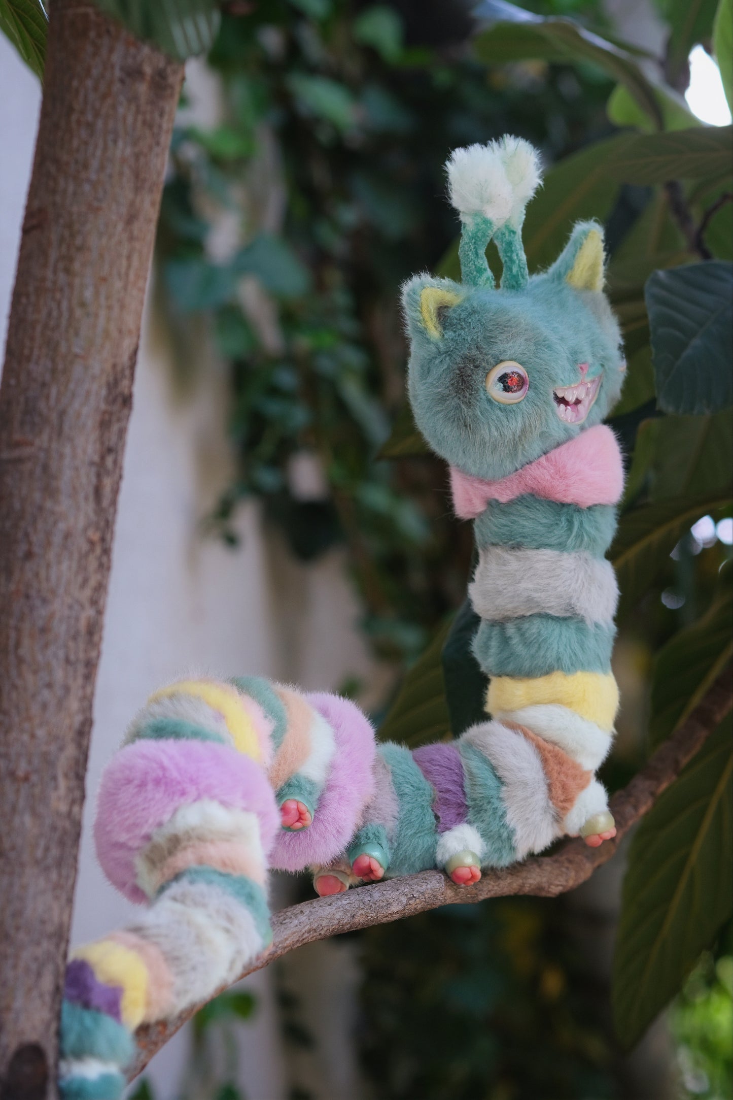Kitty Caterpillar