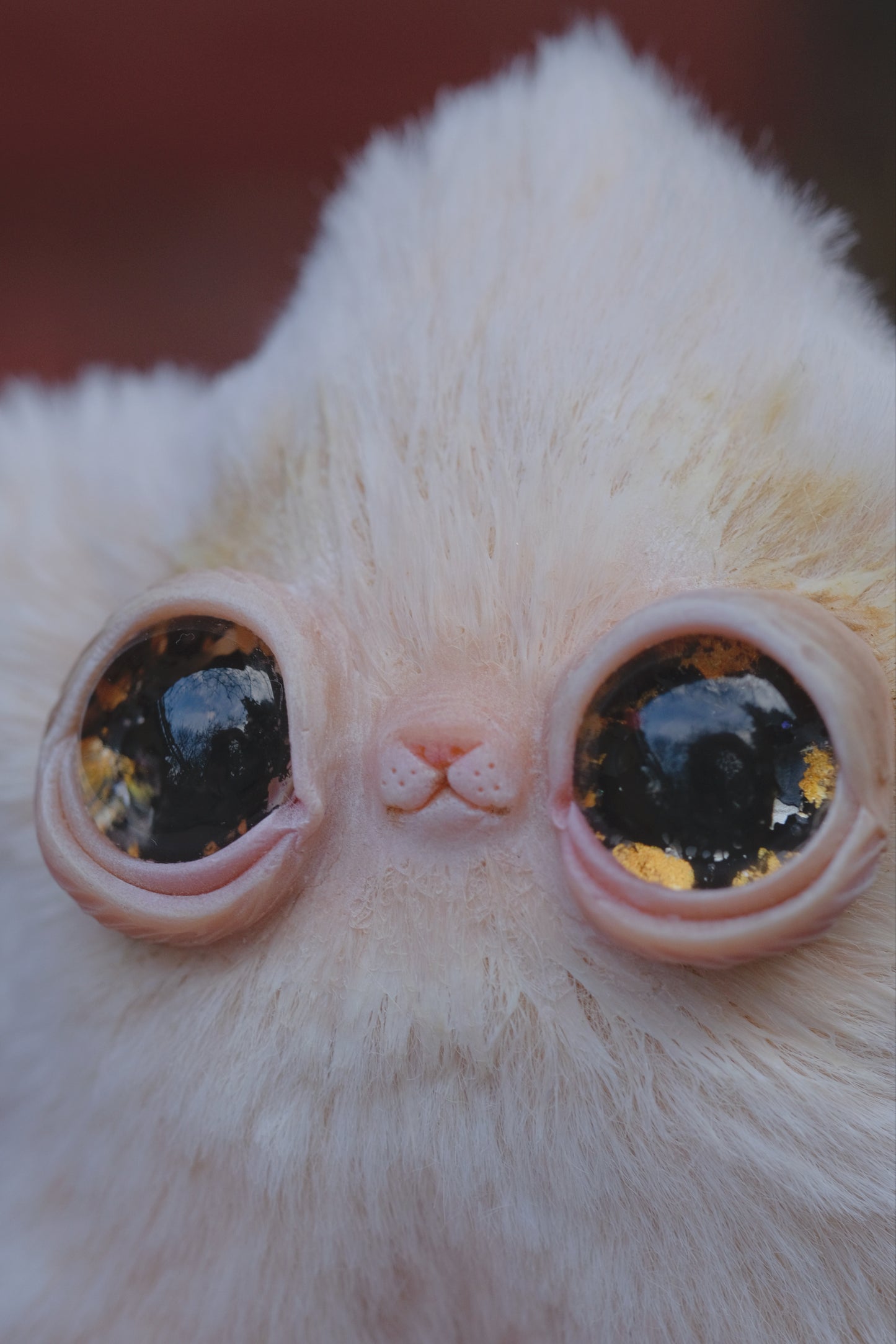 Last one! Made on request: Star Kitty