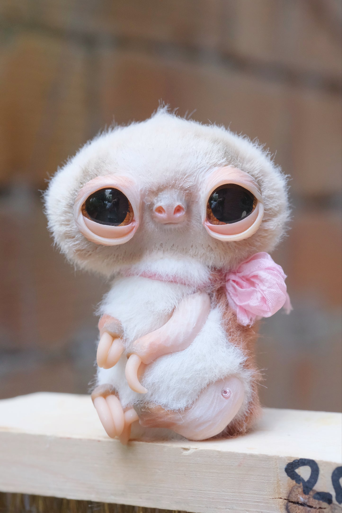 Cute Sloth
