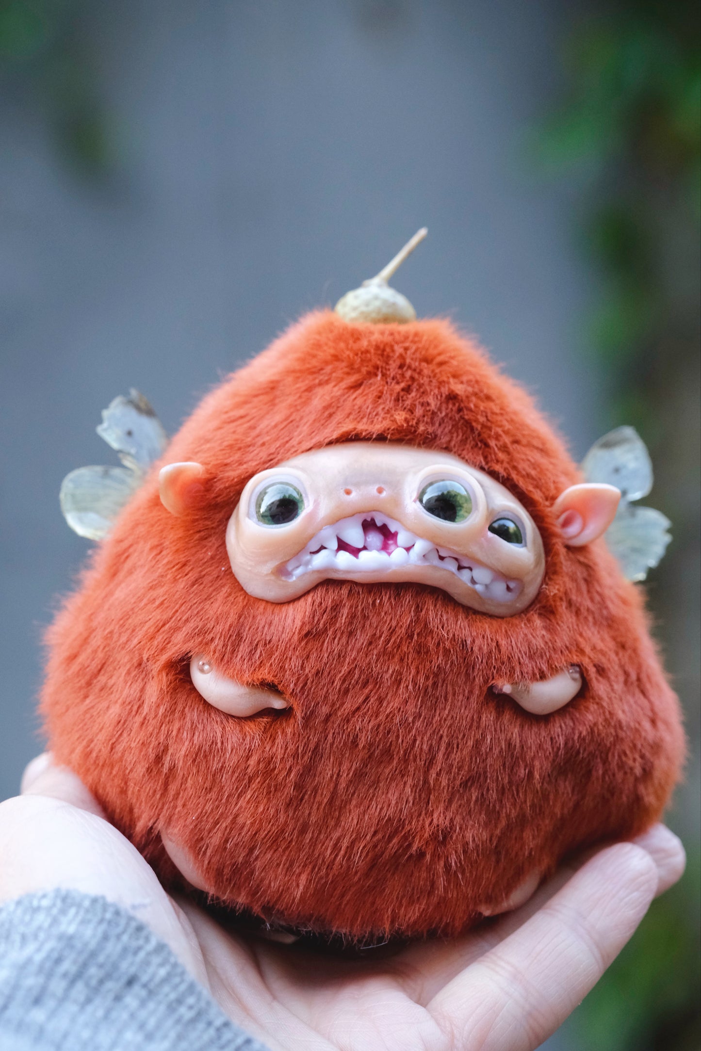 Acorn Troll