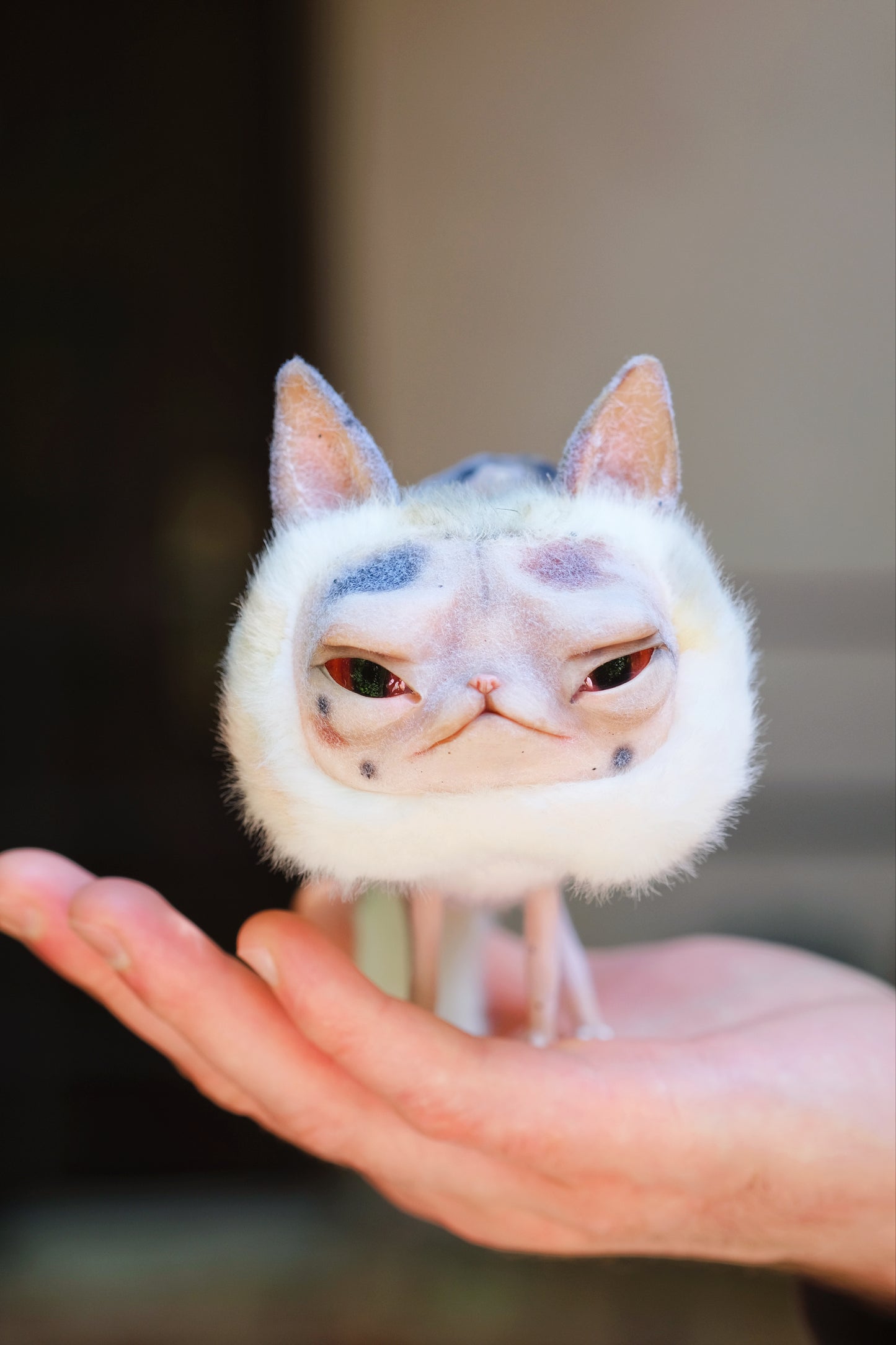 Grumpy Kitty Snail