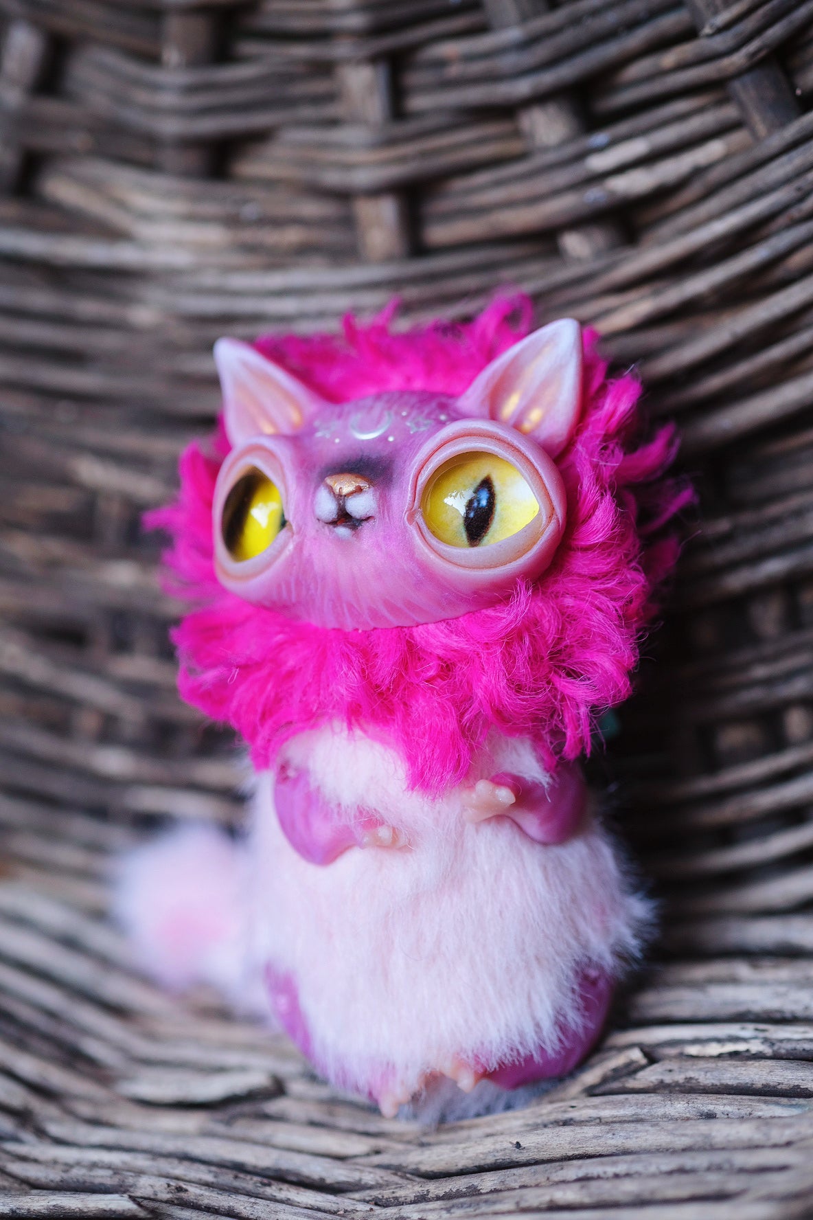 Magenta Crescent Cat