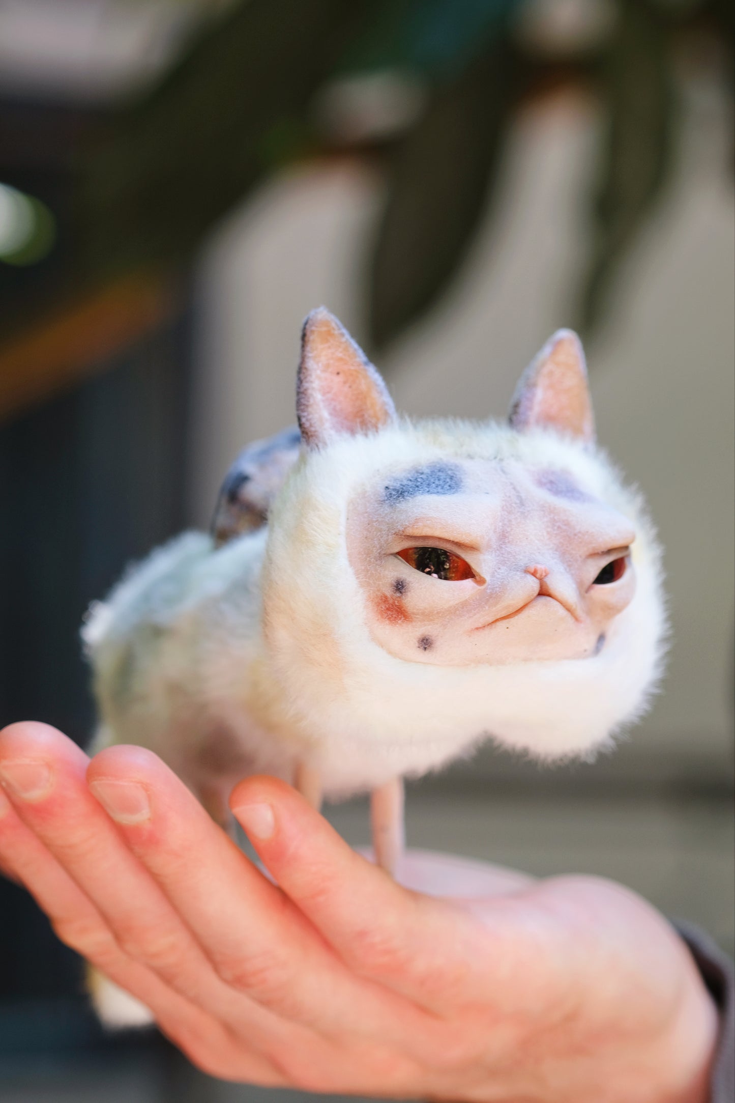 Grumpy Kitty Snail
