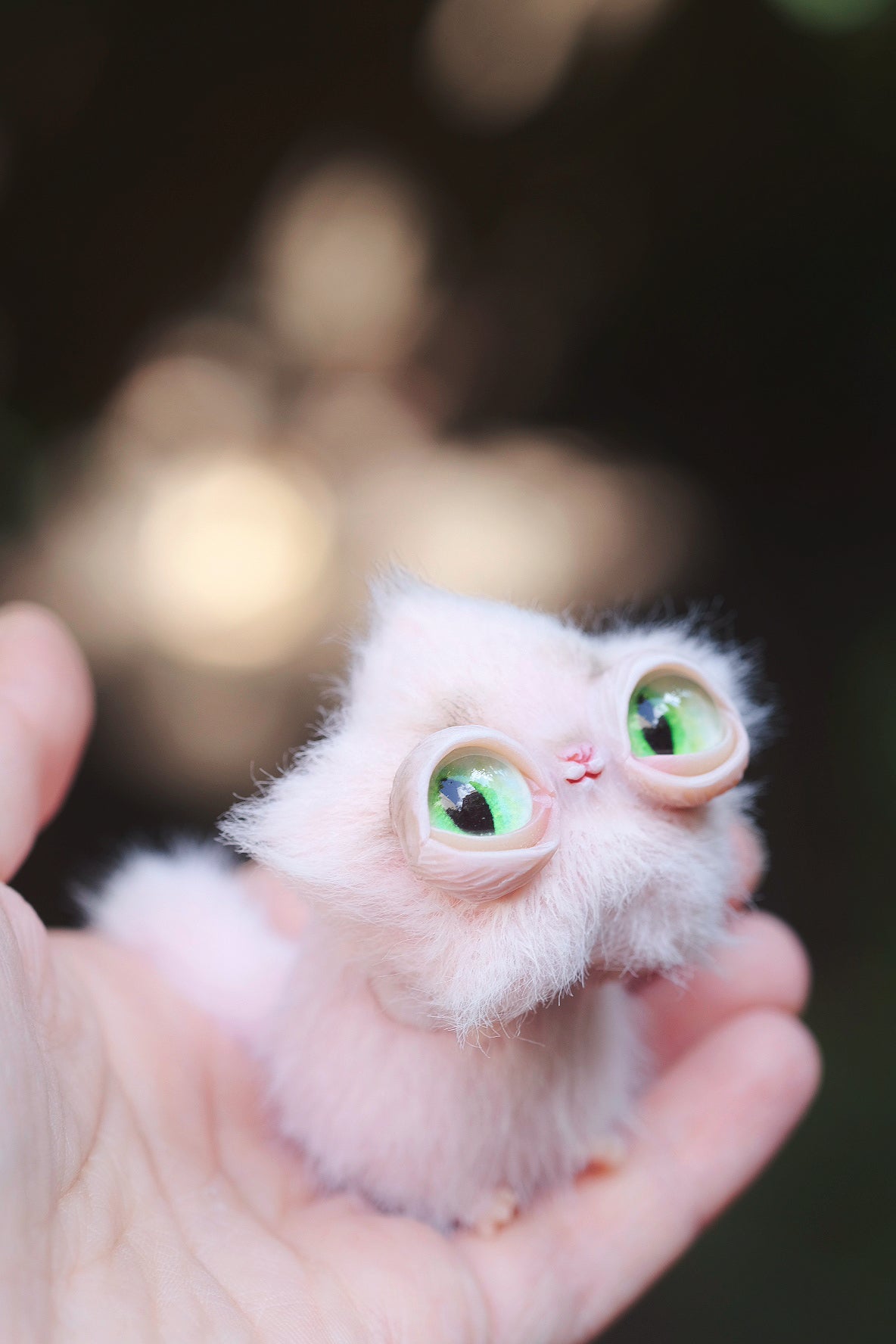 Star Kitty