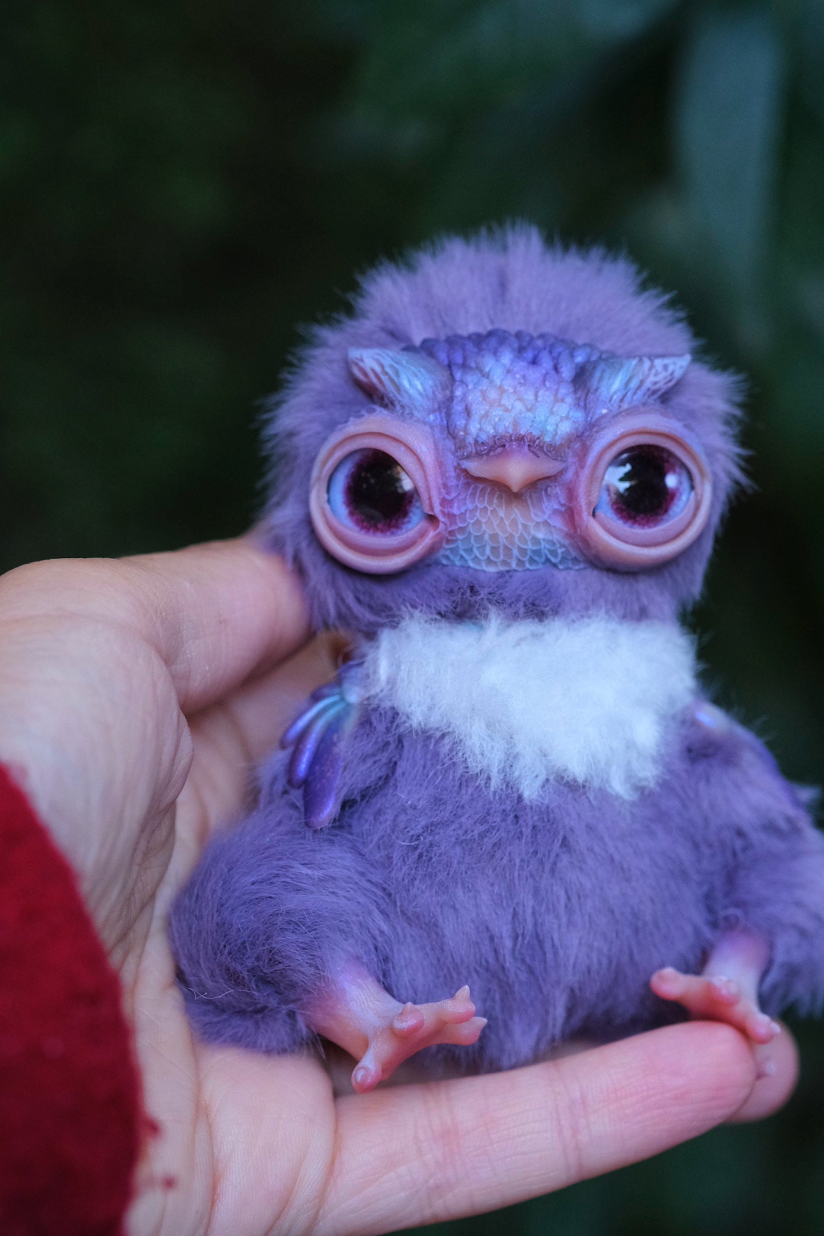 Cute Owl