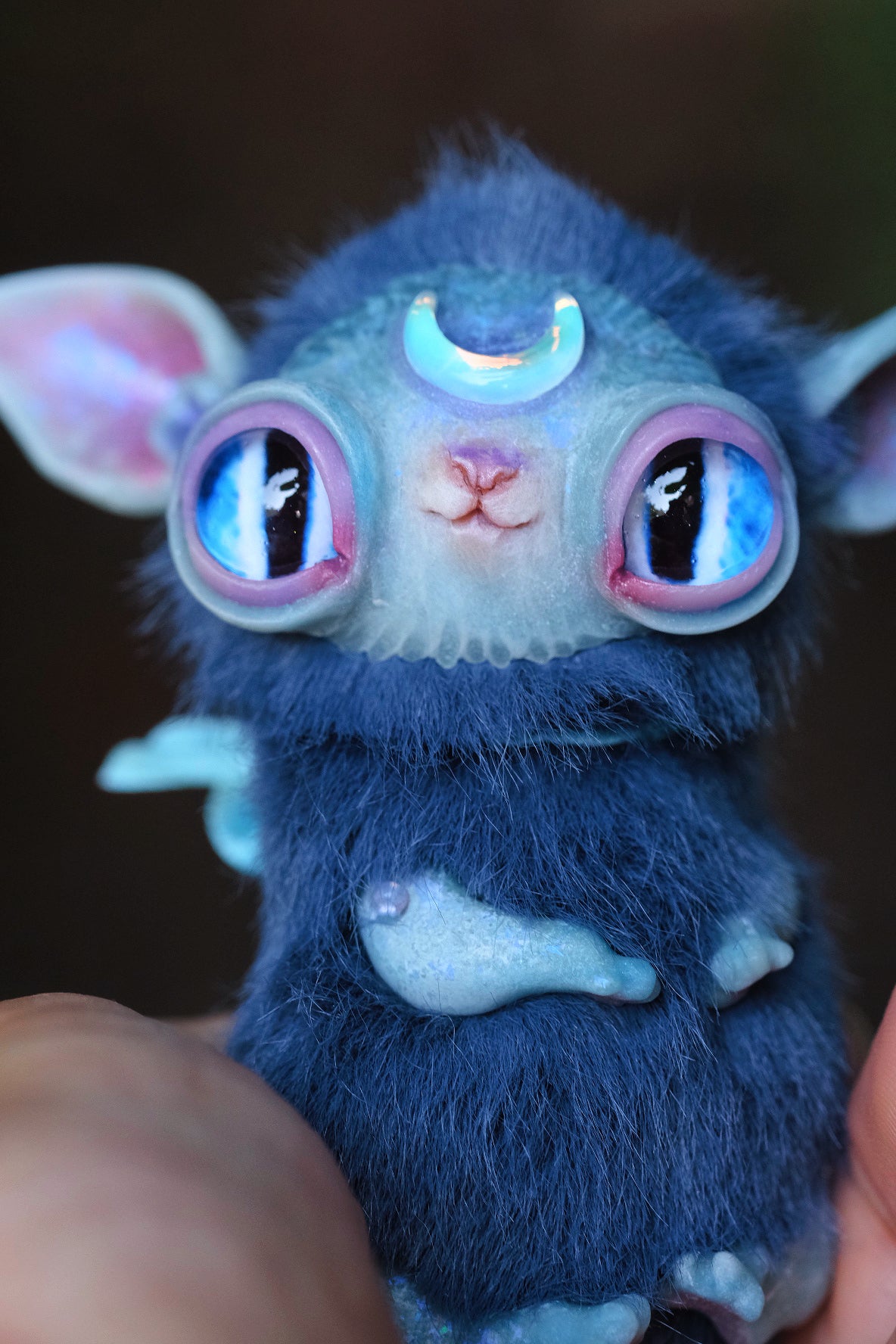 Crescent Kitty Nightwish