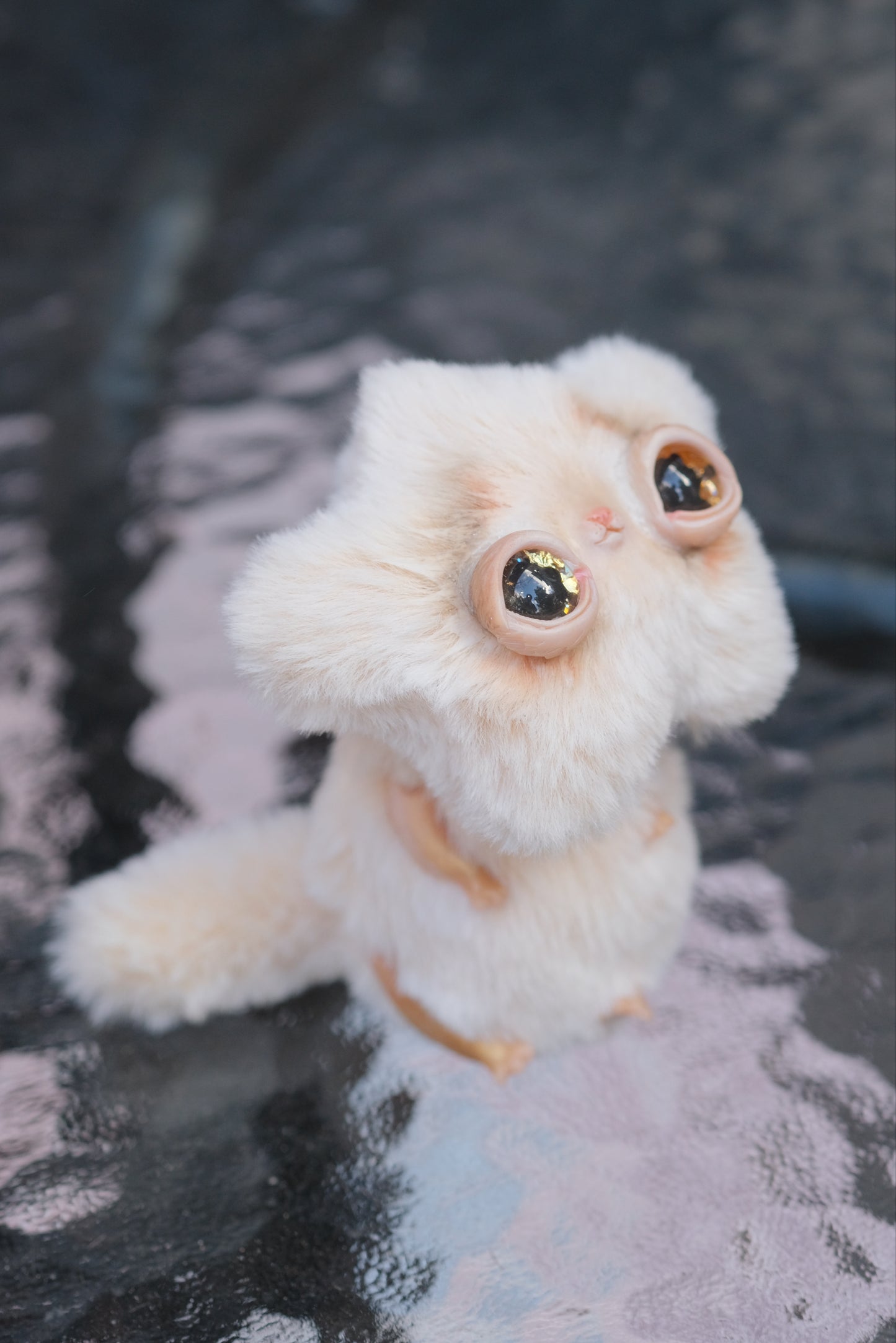 Last one! Made on request: Star Kitty