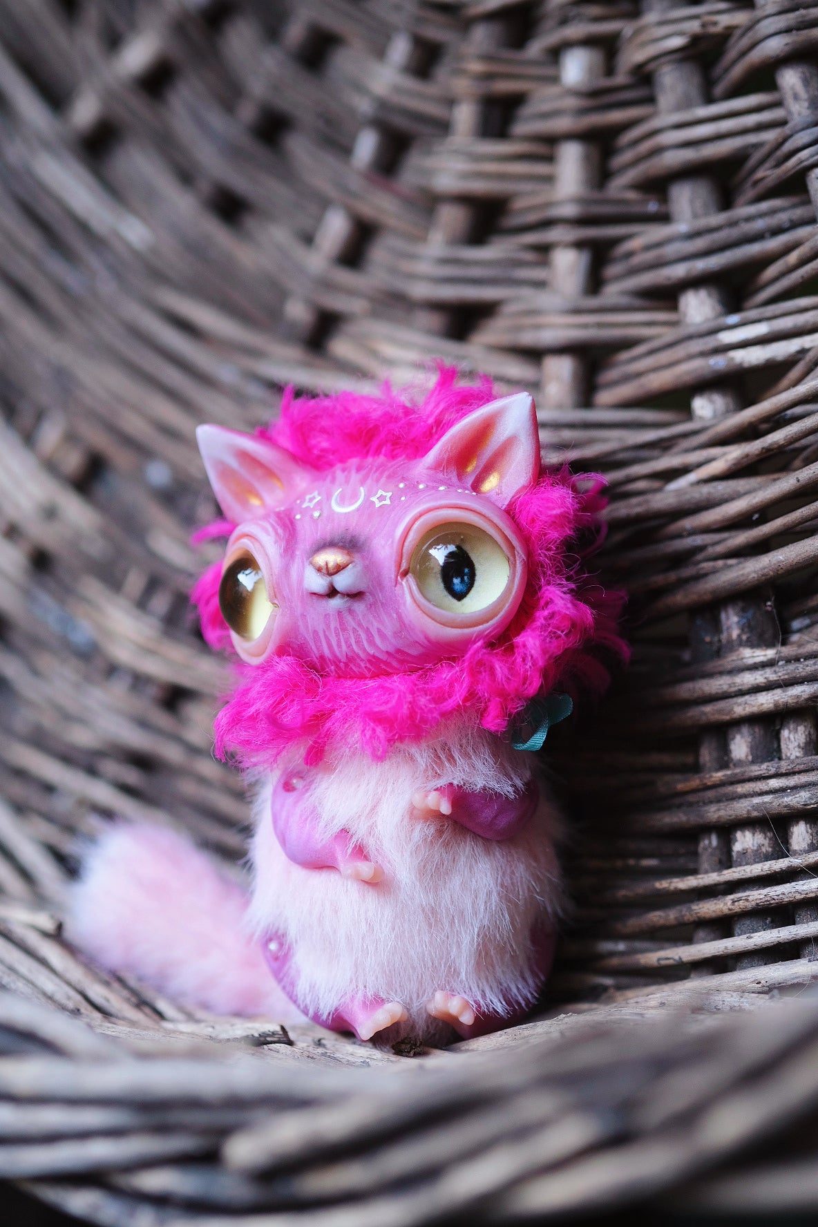 Magenta Crescent Cat