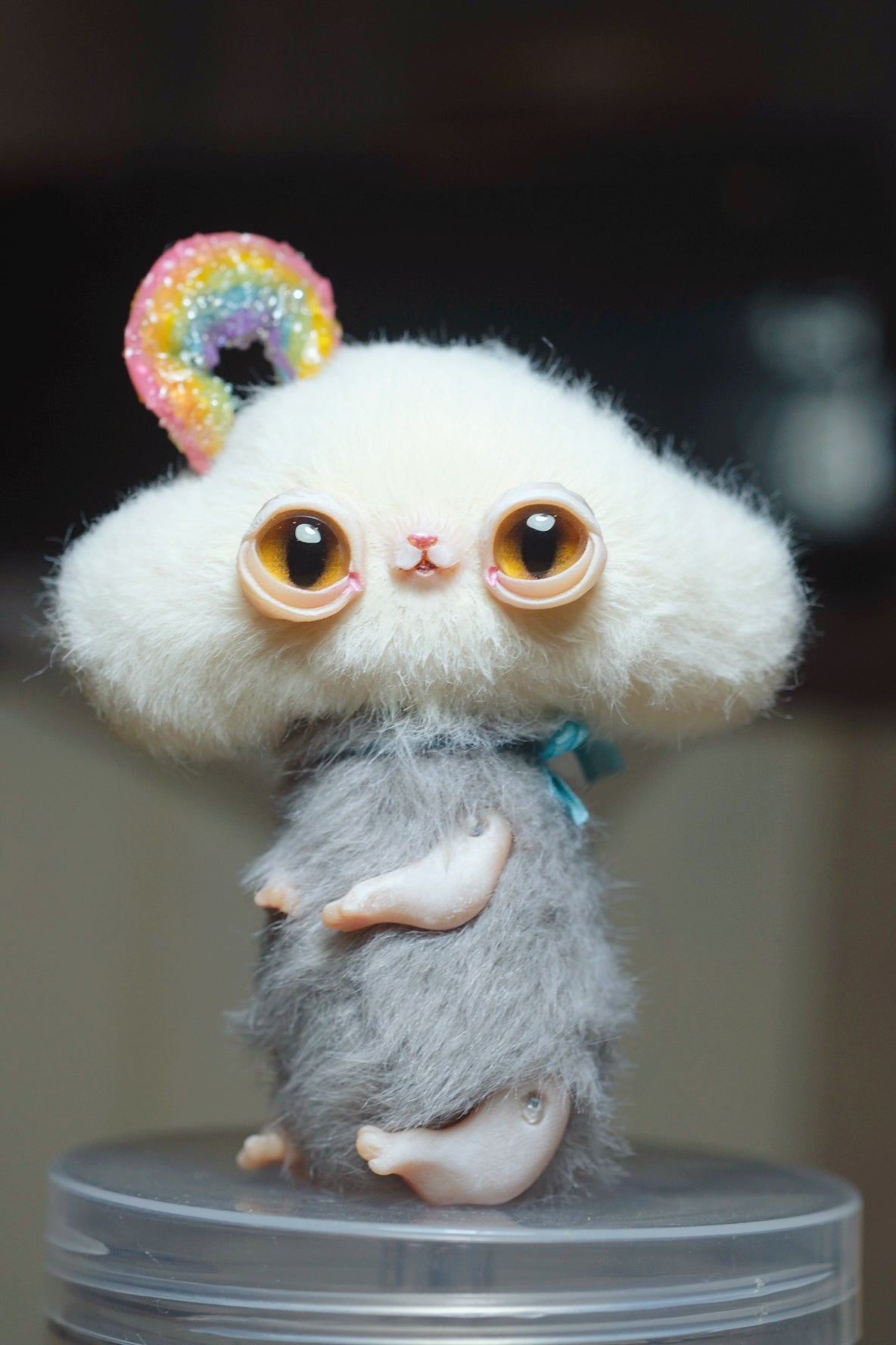 Rainbow Kitty