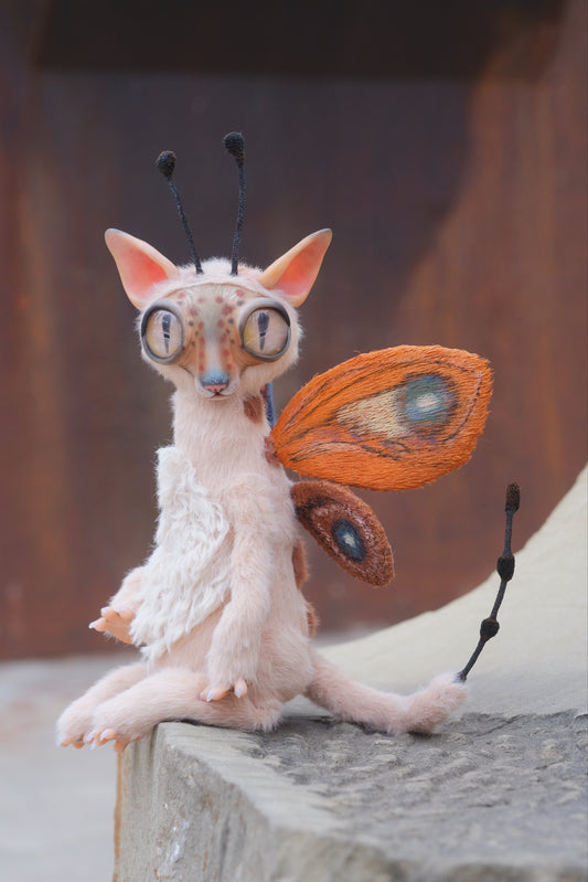 Cat Butterfly