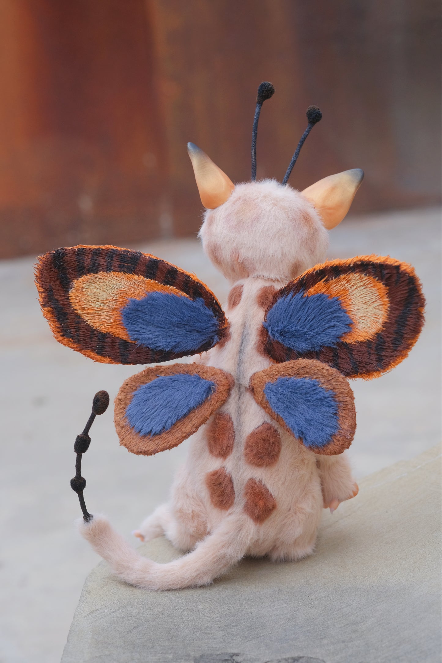 Cat Butterfly