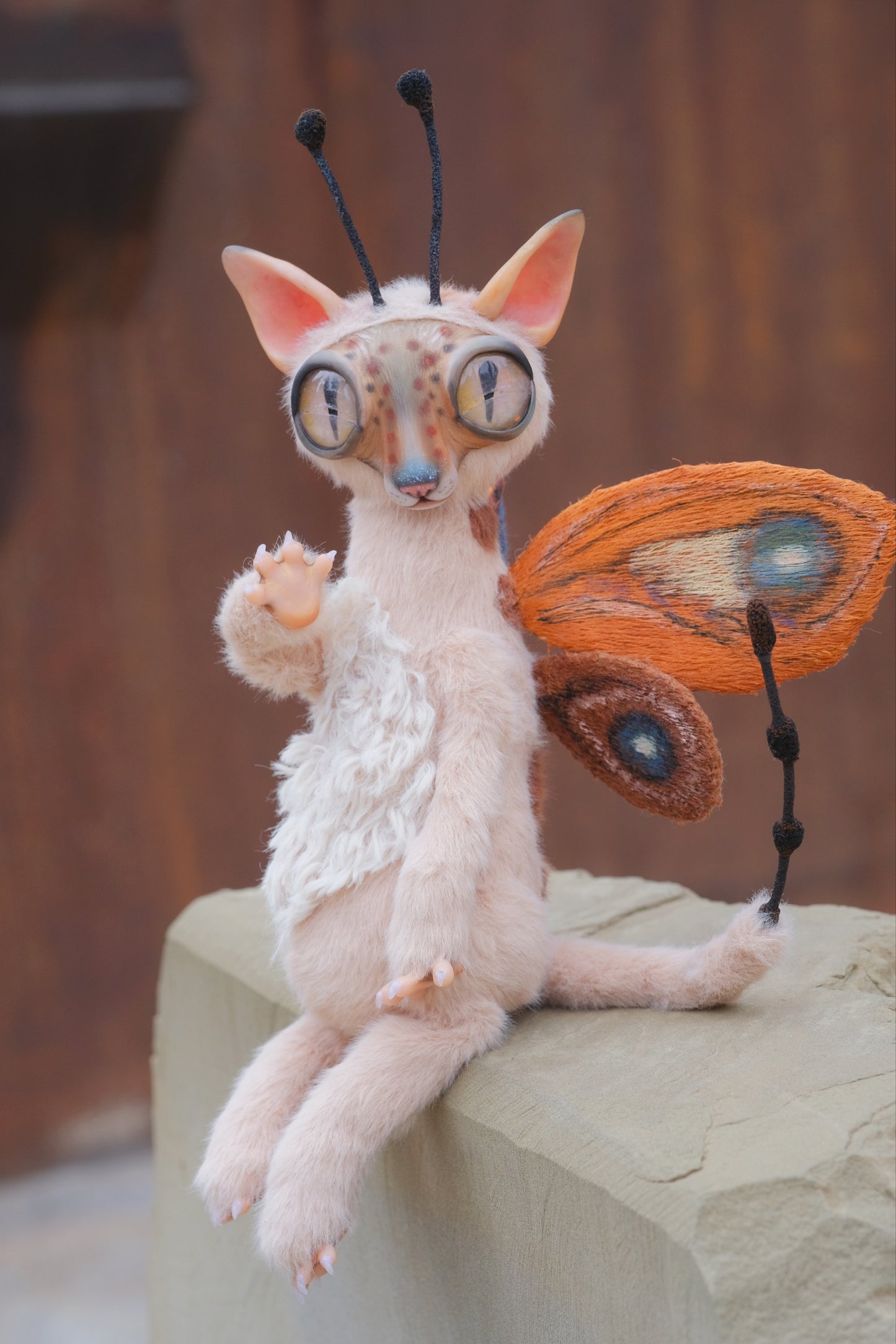 Cat Butterfly