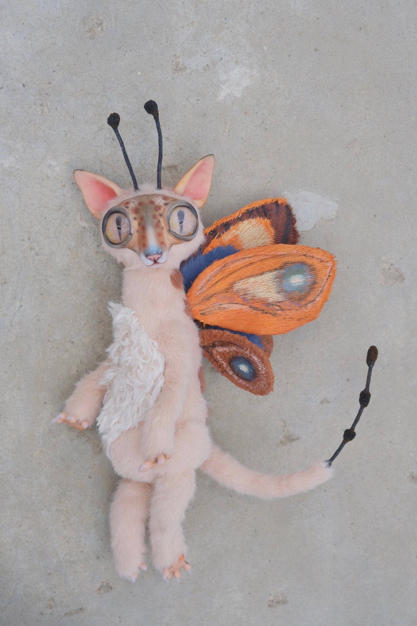 Cat Butterfly